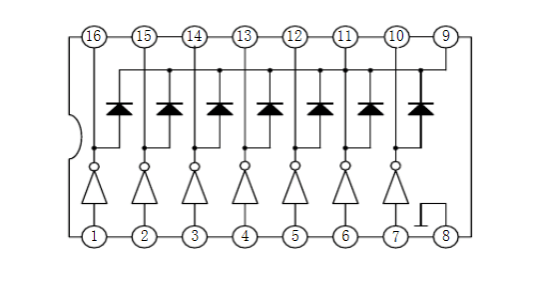 戴衛平+005+01.png